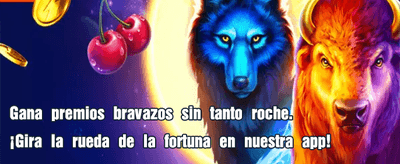 Experiencias premium de casino